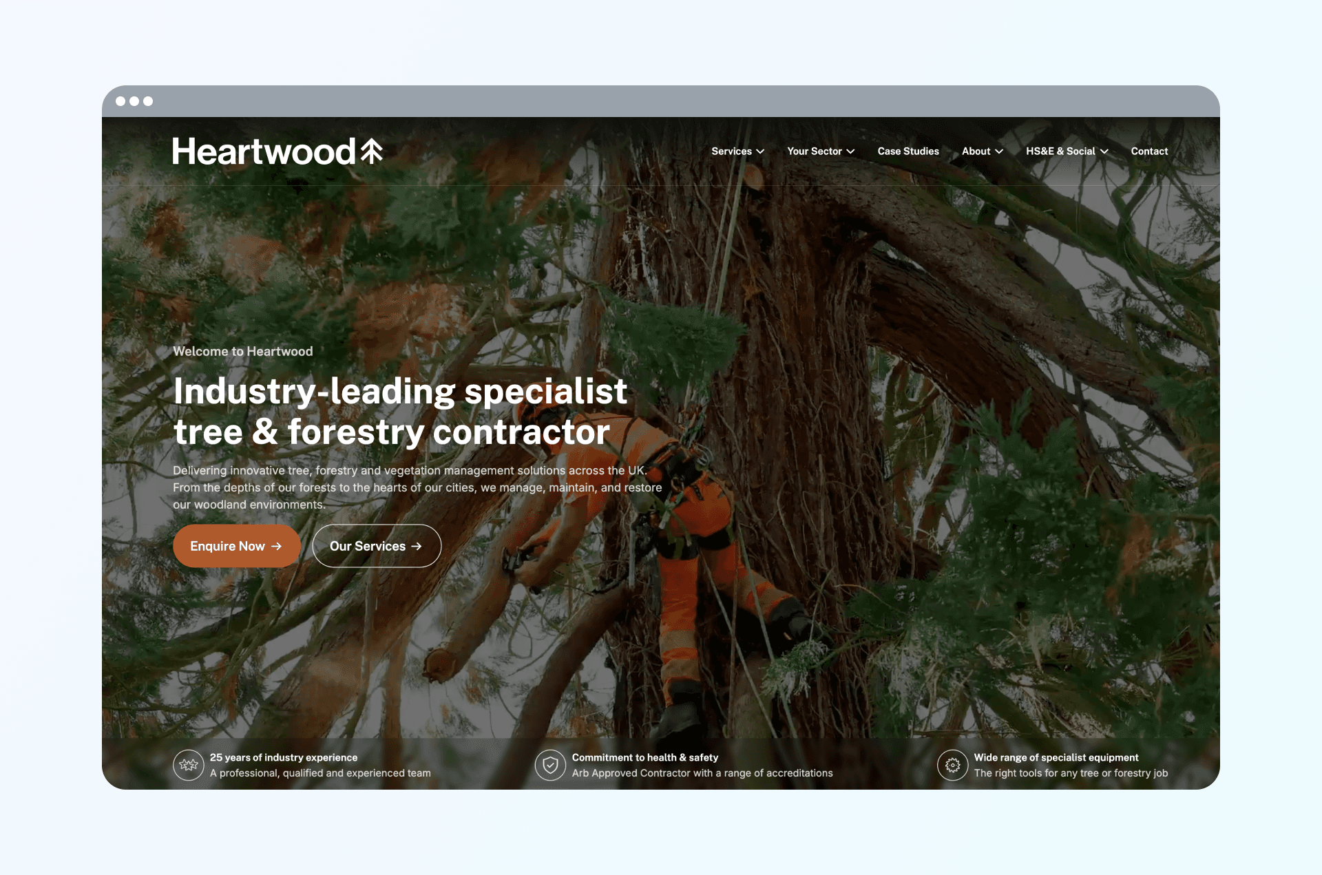 Example of website with images