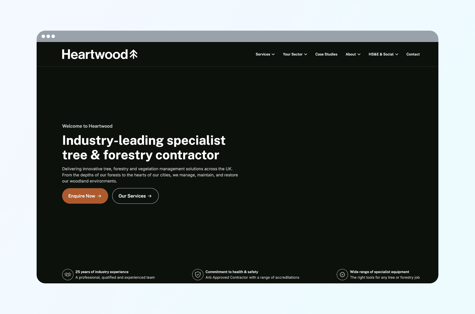 Example of website without images