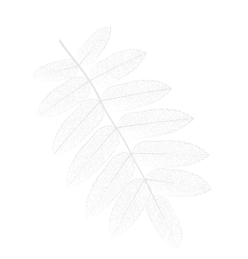 Heartwood background pattern