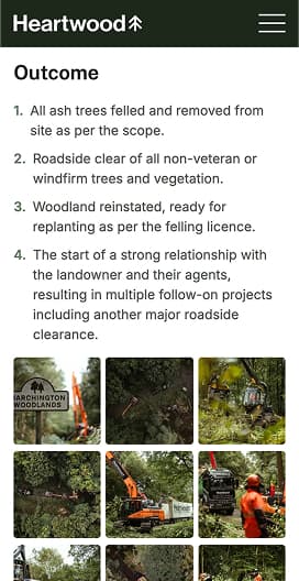 Screenshot of website