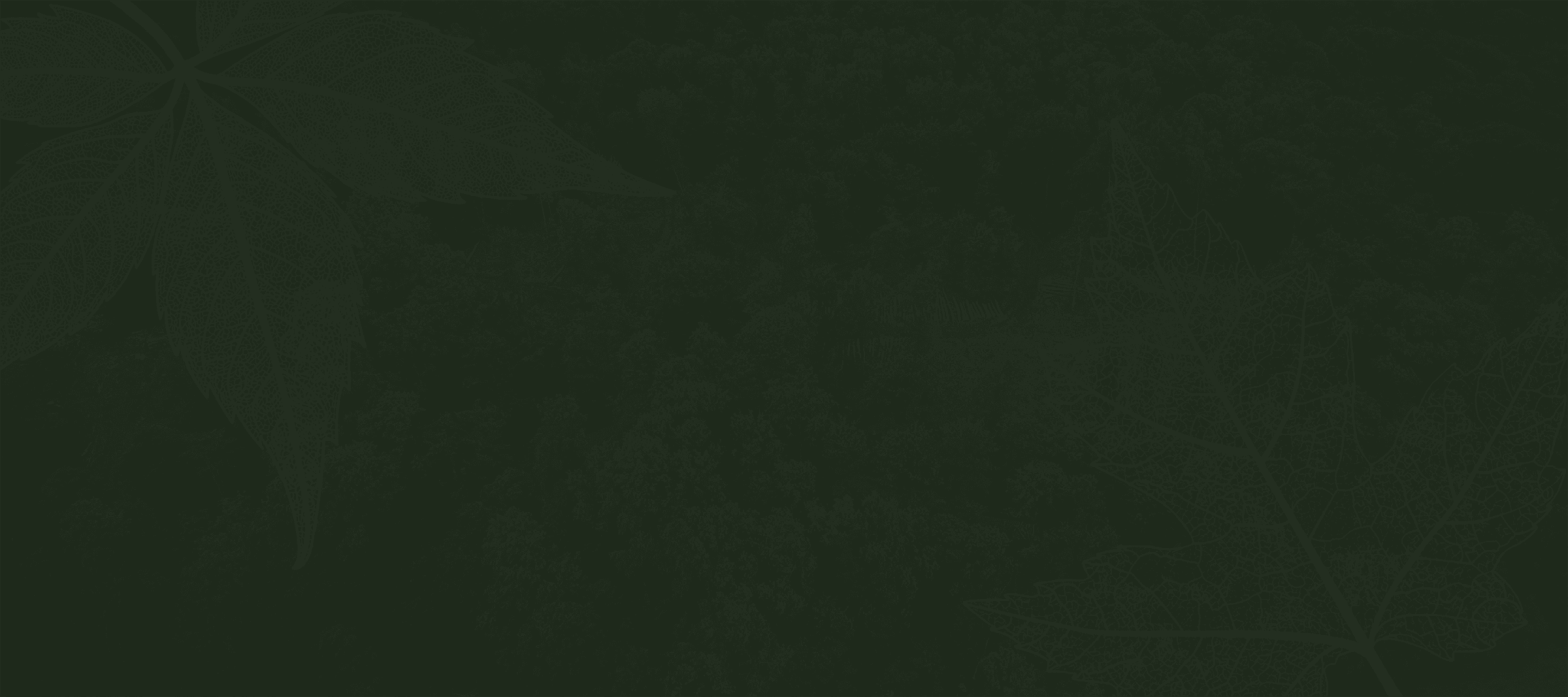 Heartwood Study Hero Video