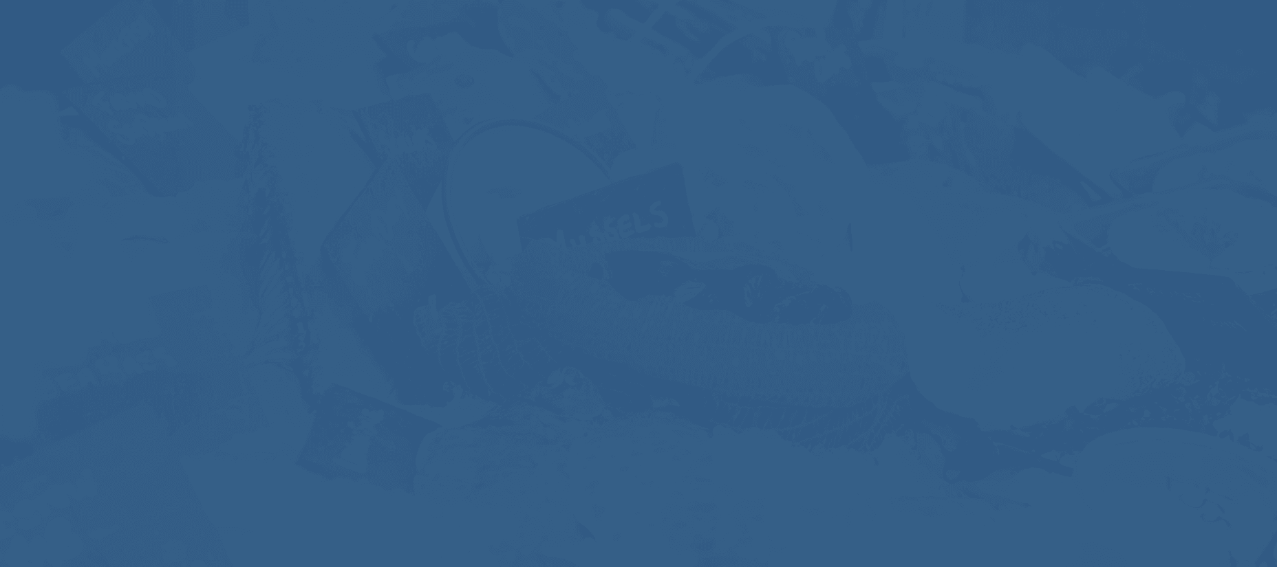 Padstow Breaks case study