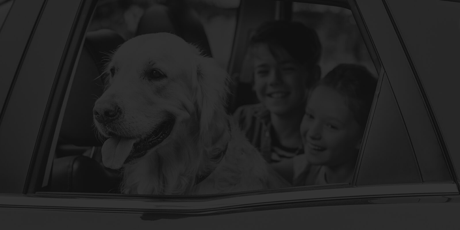 Dog and small children in the back of a car