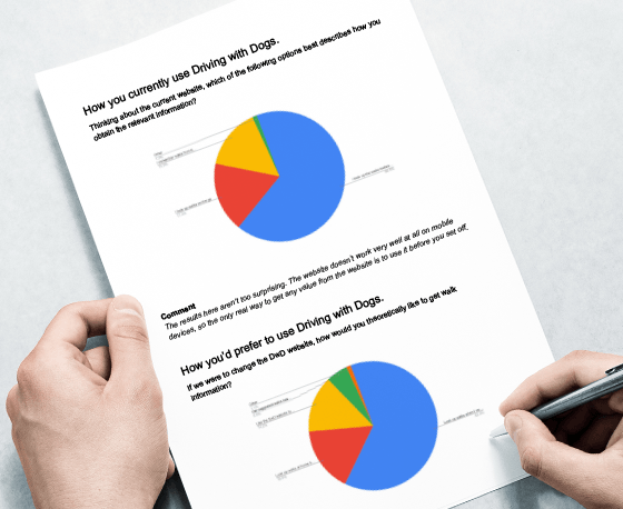 Survey results as part of the Driving with Dogs project