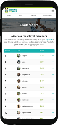 Driving with Dogs leaderboard on a mobile device