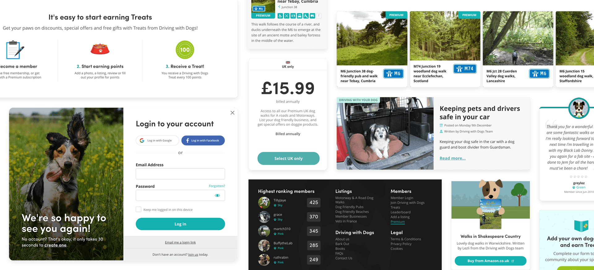 Assortment of ui elements used on Driving with Dogs