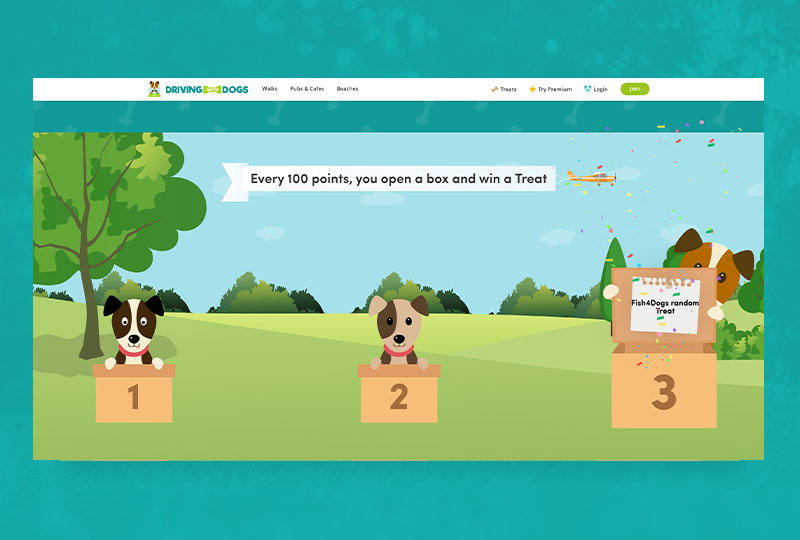 Microinteraction in web design for Driving With Dogs